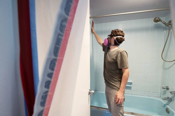 Best Dehumidification Services  in Morenci, AZ