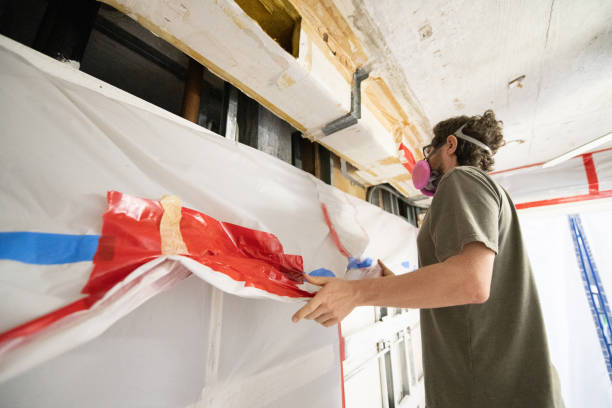 Best Biohazard Mold Removal  in Morenci, AZ