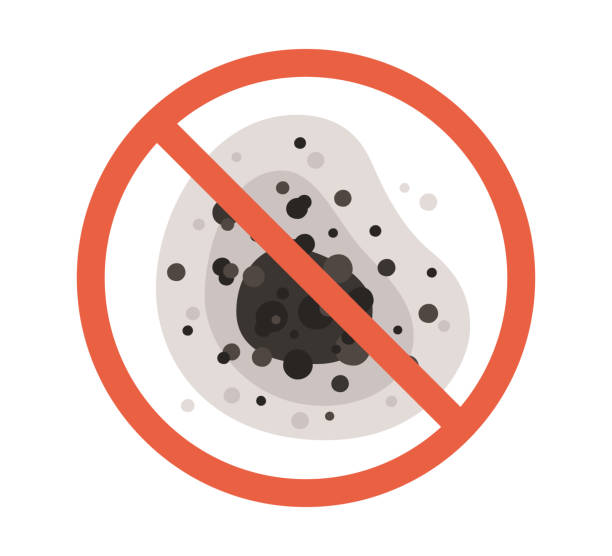 Best Mold Documentation for Insurance Claims  in Morenci, AZ