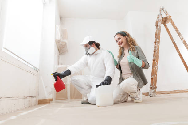 Best Environmental Consulting for Mold Prevention  in Morenci, AZ